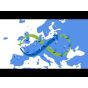 Ručna stretch folija od 51% post potrošačkog reciklata