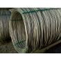 Polyester strap